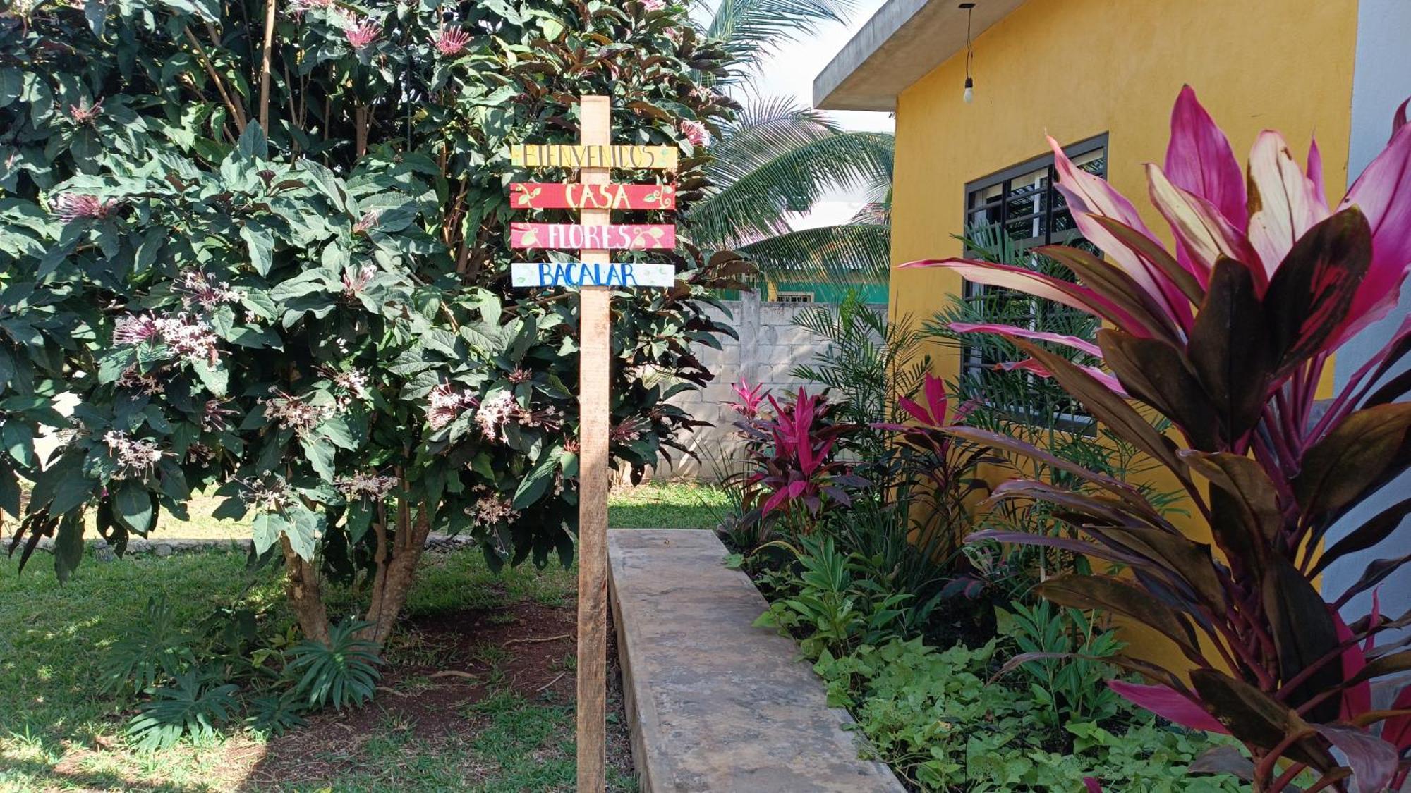 Casa Flores 巴卡拉尔 外观 照片